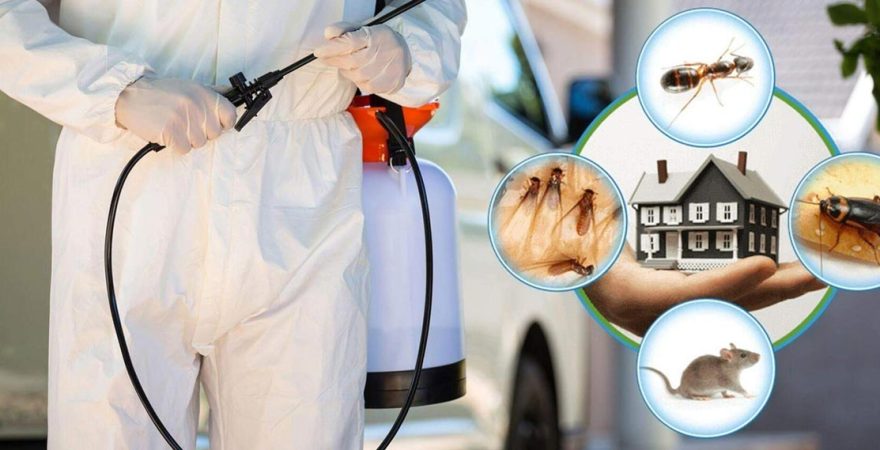 Halkapınar Böcek İlaçlama