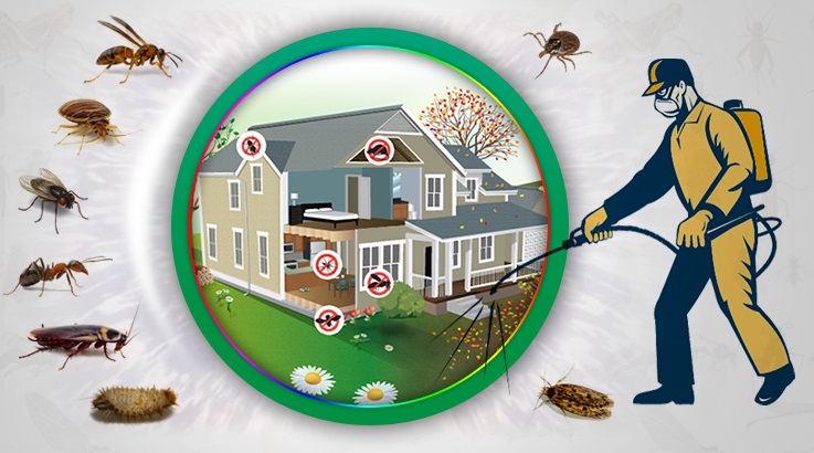 Halkapınar Böcek İlaçlama