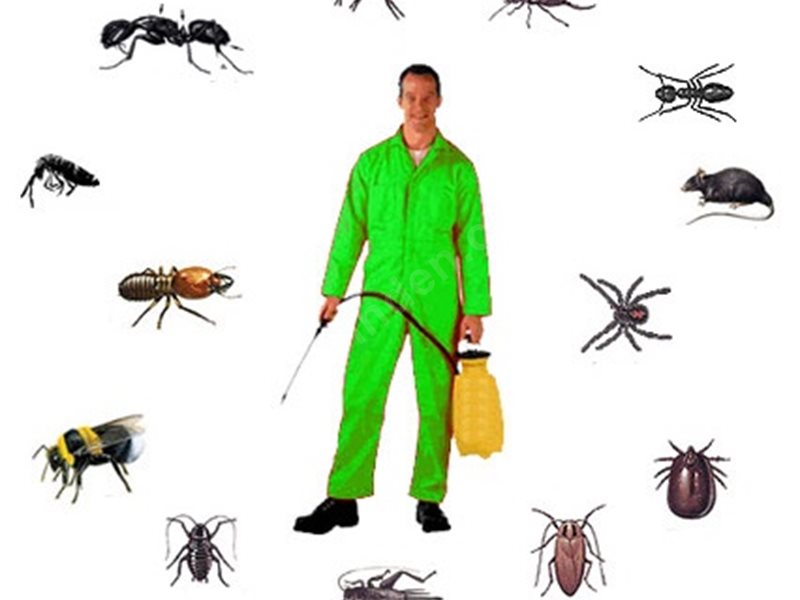 Halkapınar Böcek İlaçlama